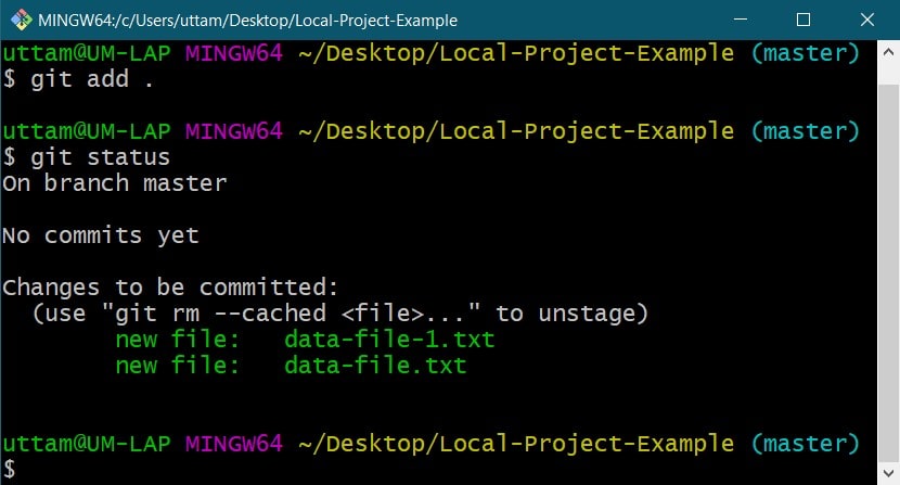 Git-Add-and-Status-Local-Project